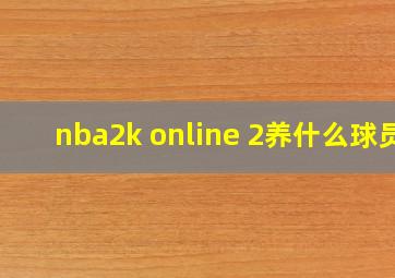 nba2k online 2养什么球员